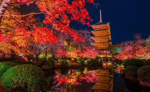 東寺の紅葉　夜景